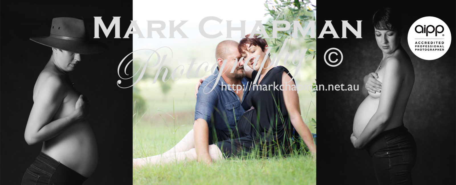 Mark Chapman Photography